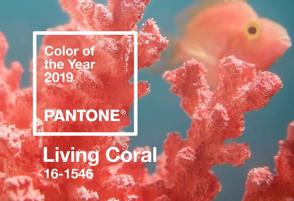 living color pantone colore dell'anno 2019